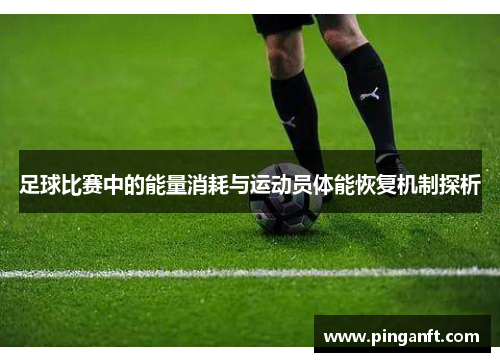 足球比赛中的能量消耗与运动员体能恢复机制探析